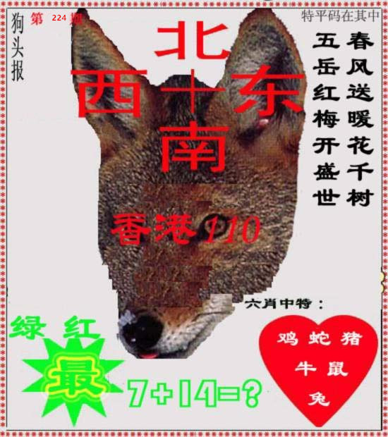 狗头报