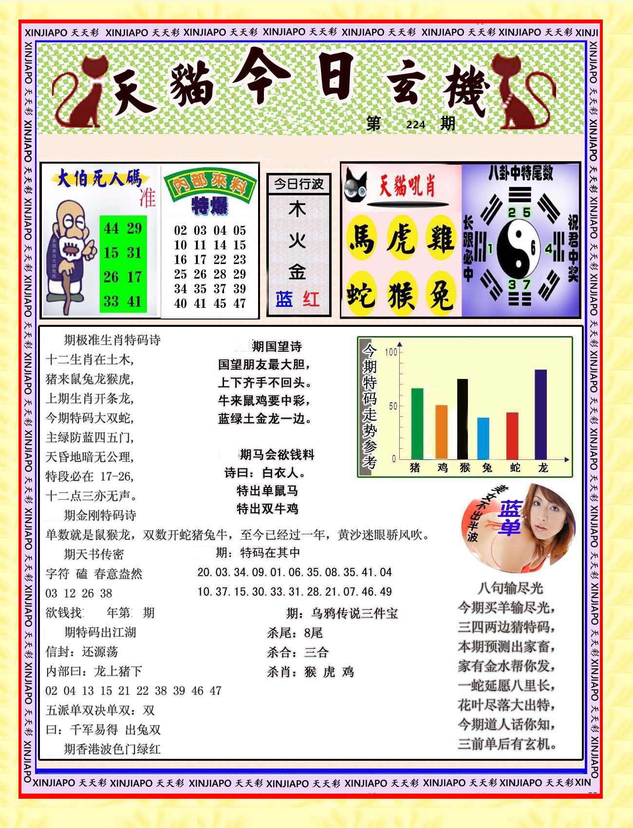 天猫今日玄机