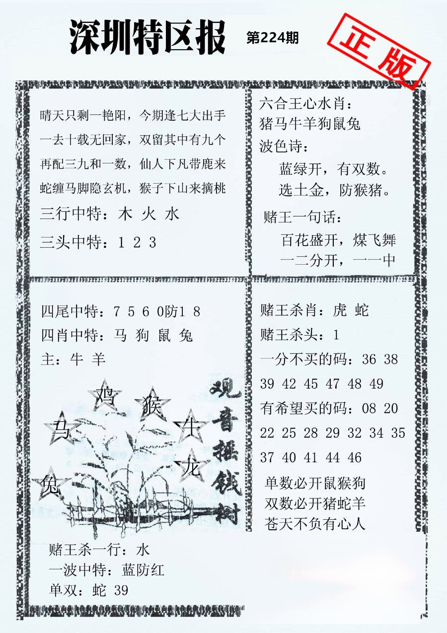 深圳特区报